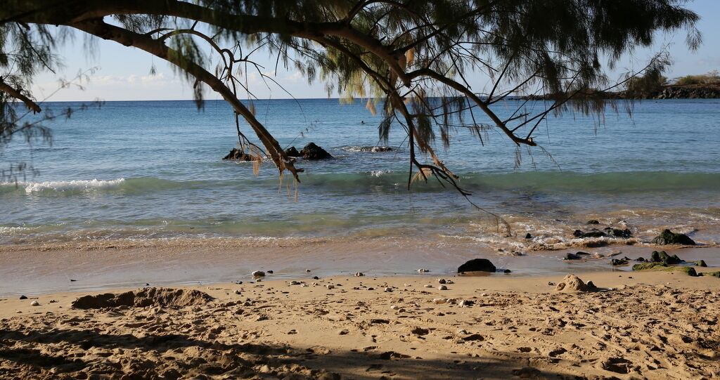 Photo of Others in Waikoloa