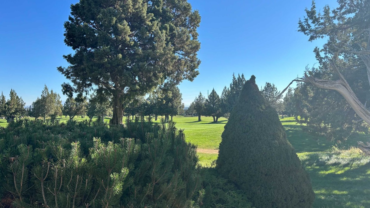 Photo of Outdoor in Redmond
