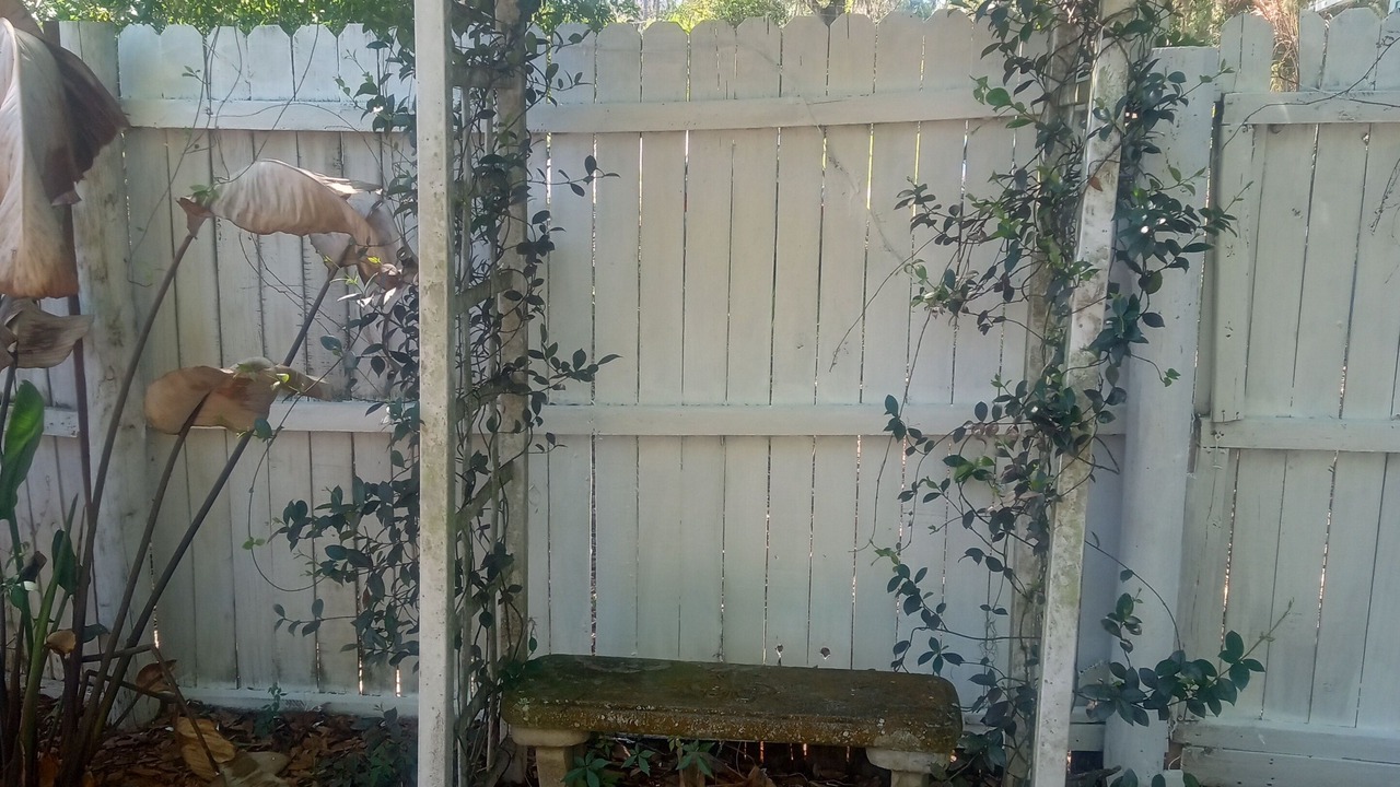 Photo of Outdoor in Dade City