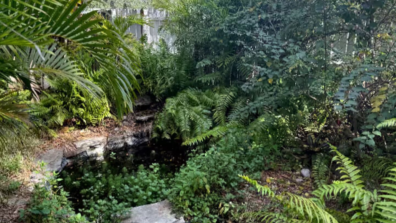 Photo of Outdoor in Dade City