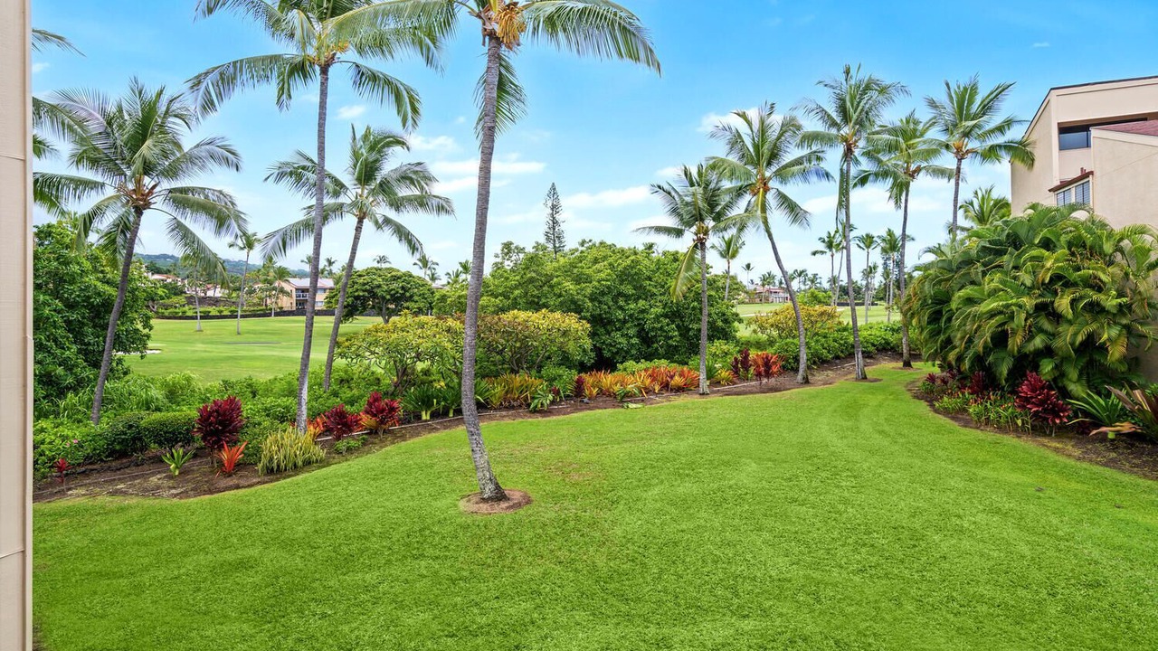 Photo of Outdoor in Kahaluu-Keauhou
