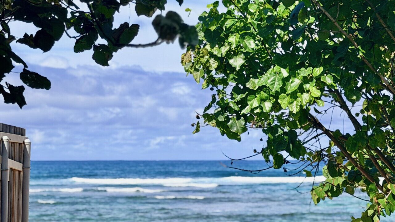 Photo of Others in Mokuleia