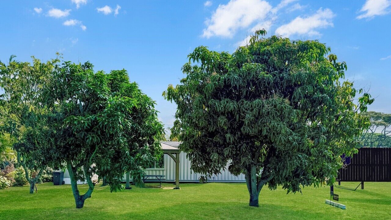Photo of Outdoor in Mokuleia