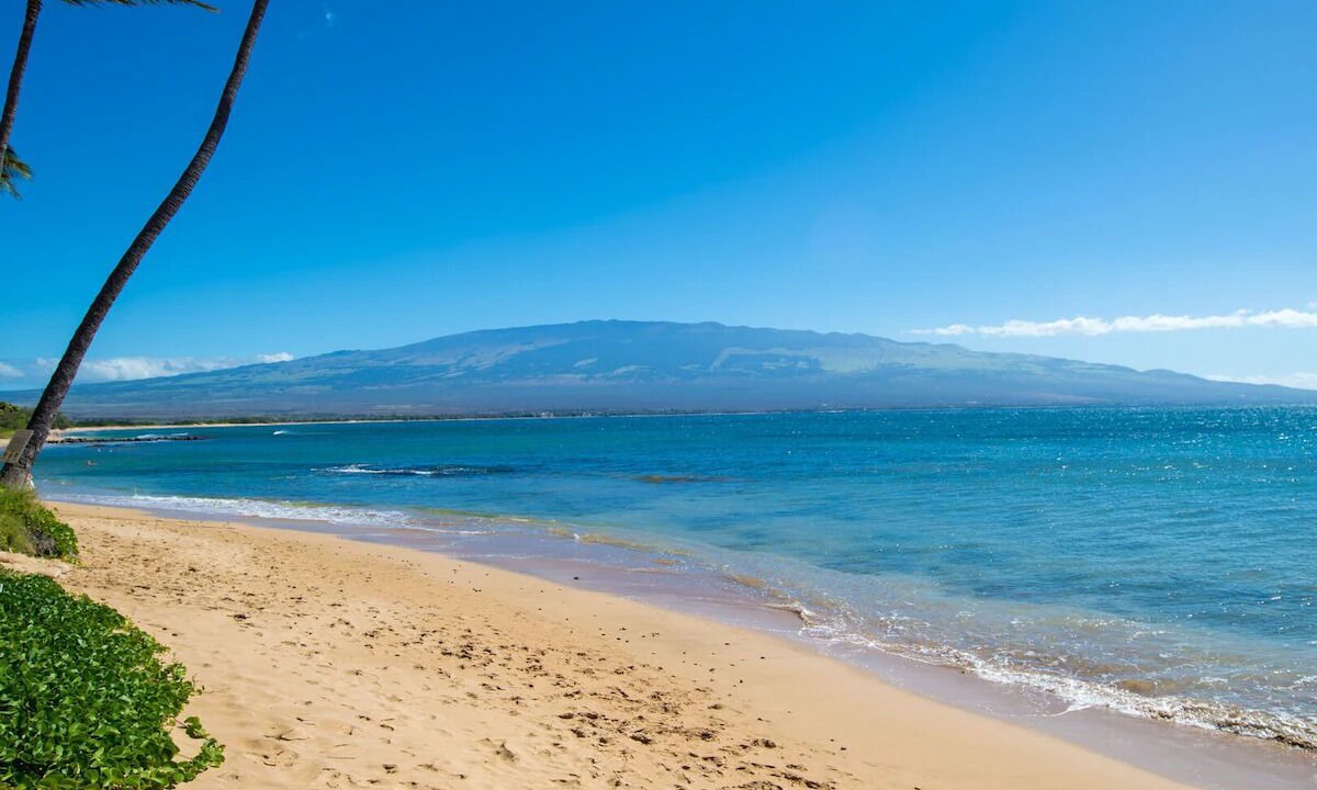 Photo of Others in Maalaea
