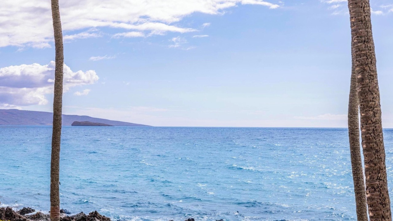 Photo of Others in Wailea
