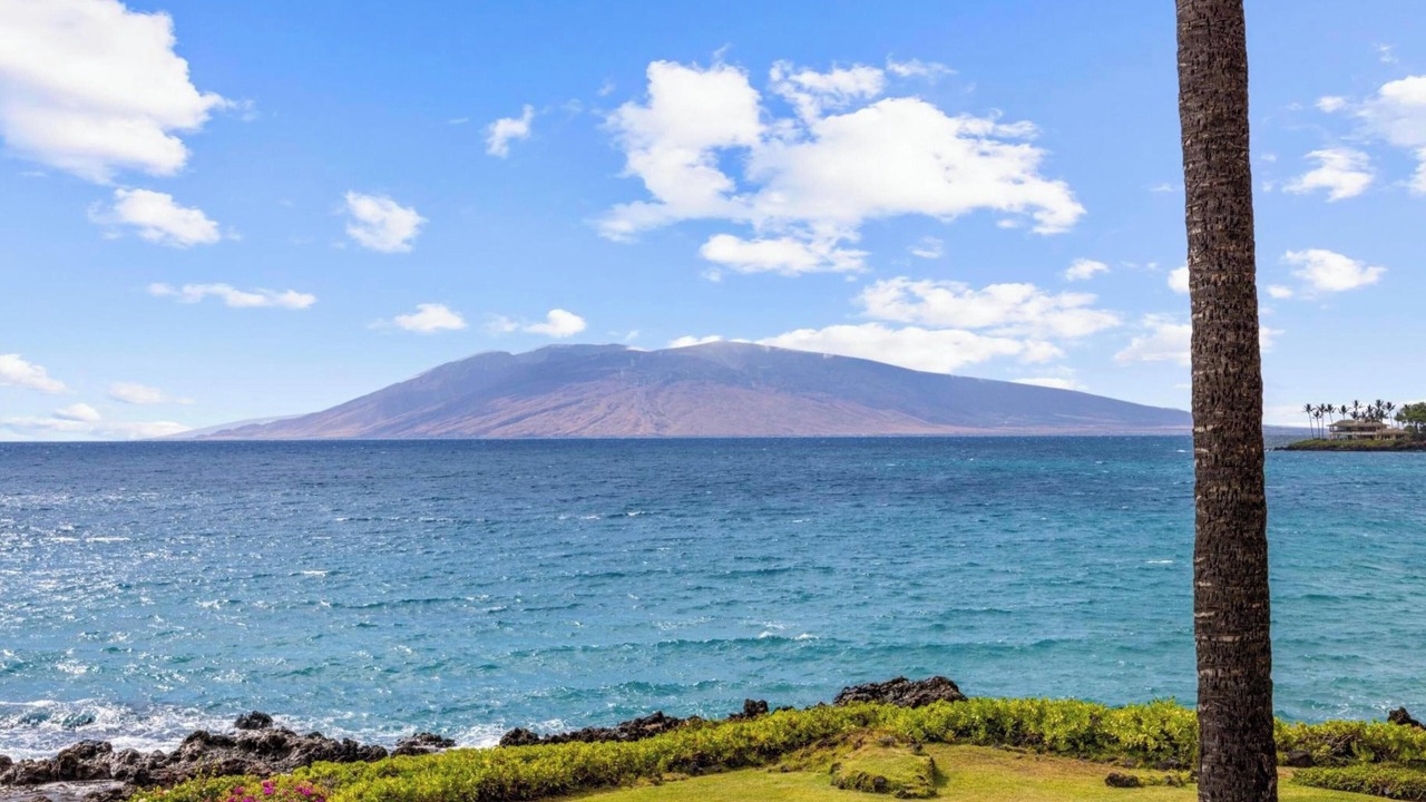 Photo of Others in Wailea