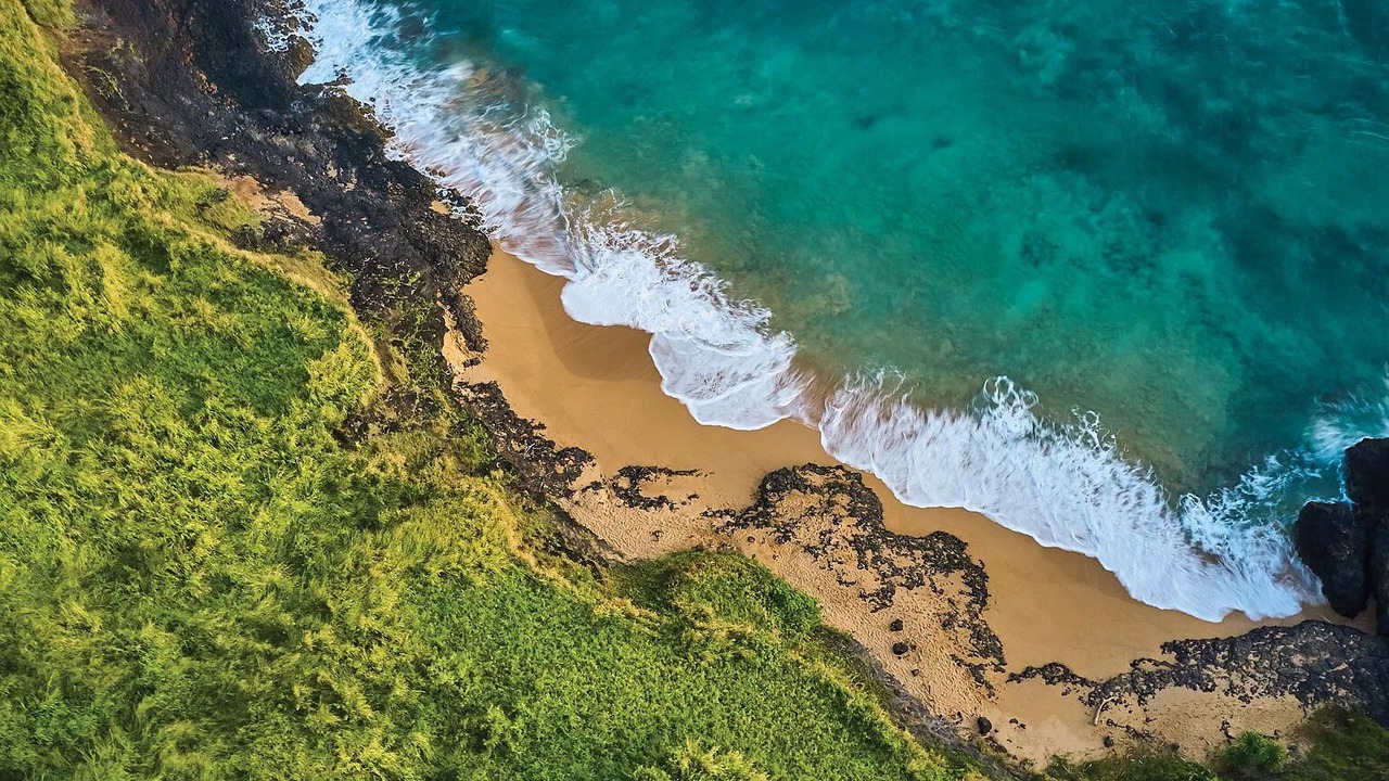 Photo of Others in Lihue