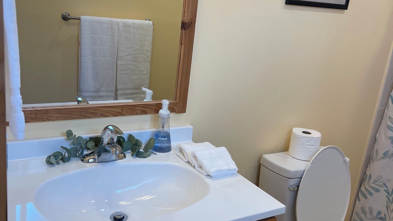 Photo of Bathroom in Kealakekua