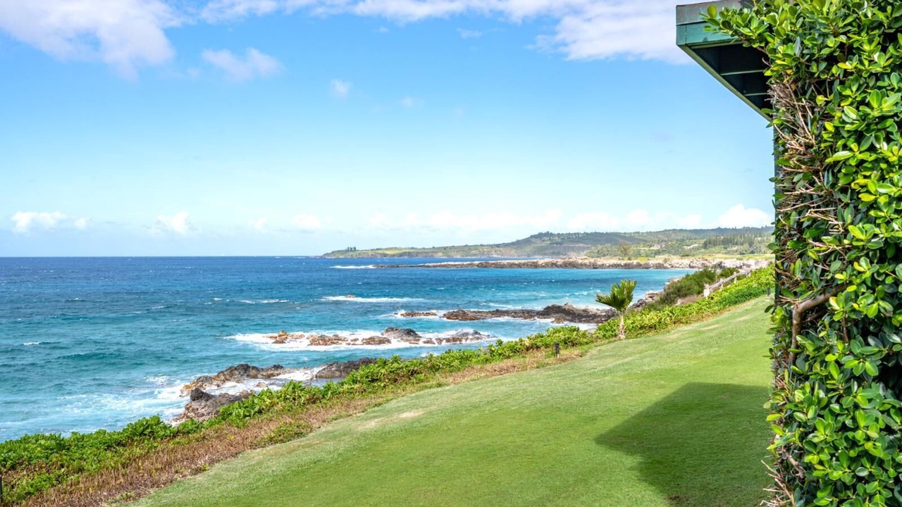 Photo of Outdoor in Napili