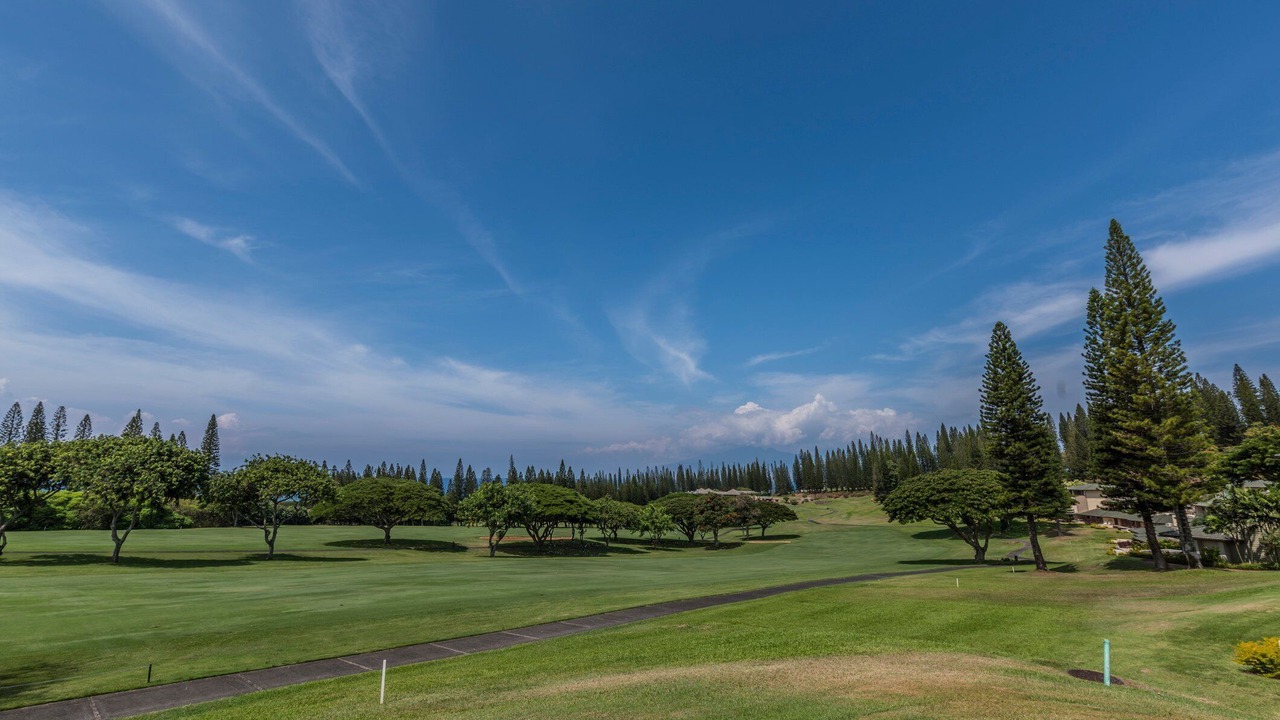 Photo of Others in Kapalua