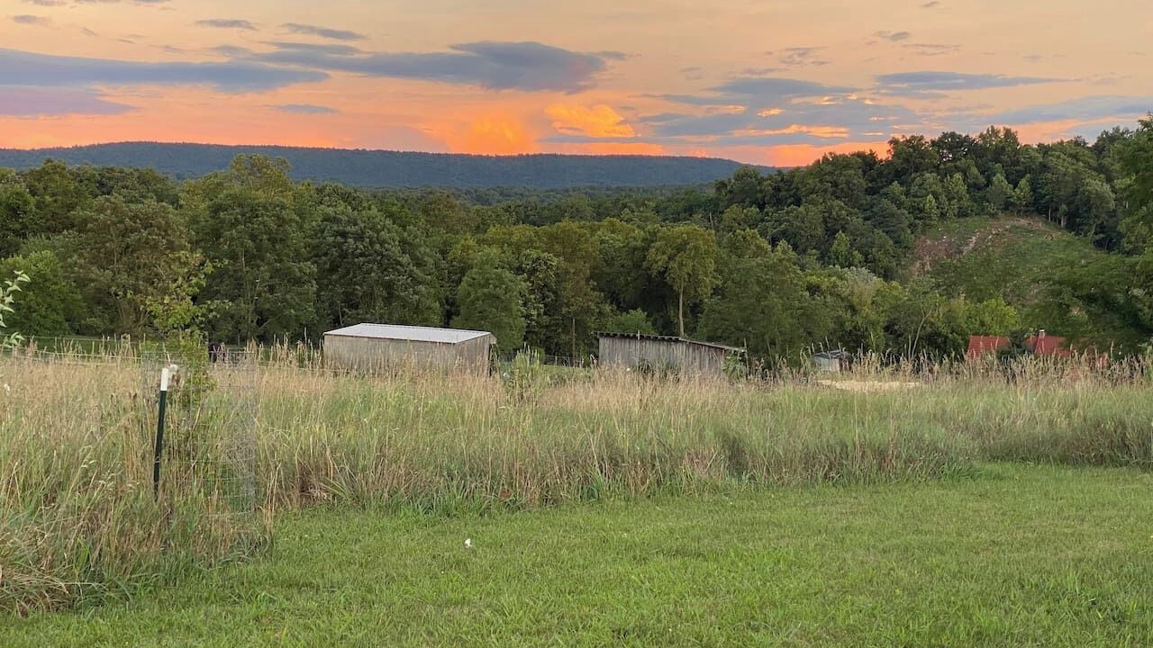 Photo of Others in Antietam