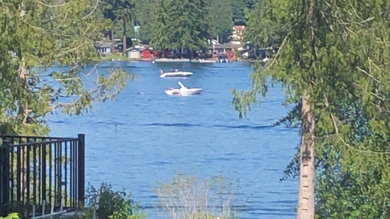 Photo of Others in Lake Goodwin
