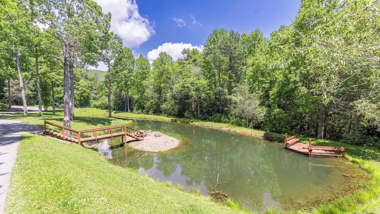 Photo of Outdoor in Black Mountain