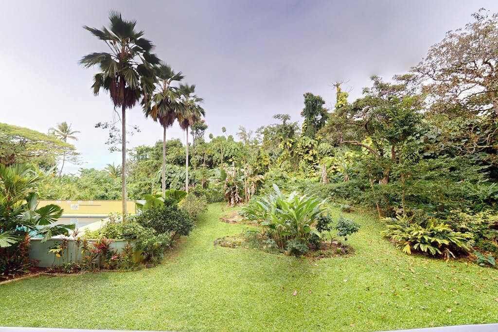 Photo of Outdoor in Hilo