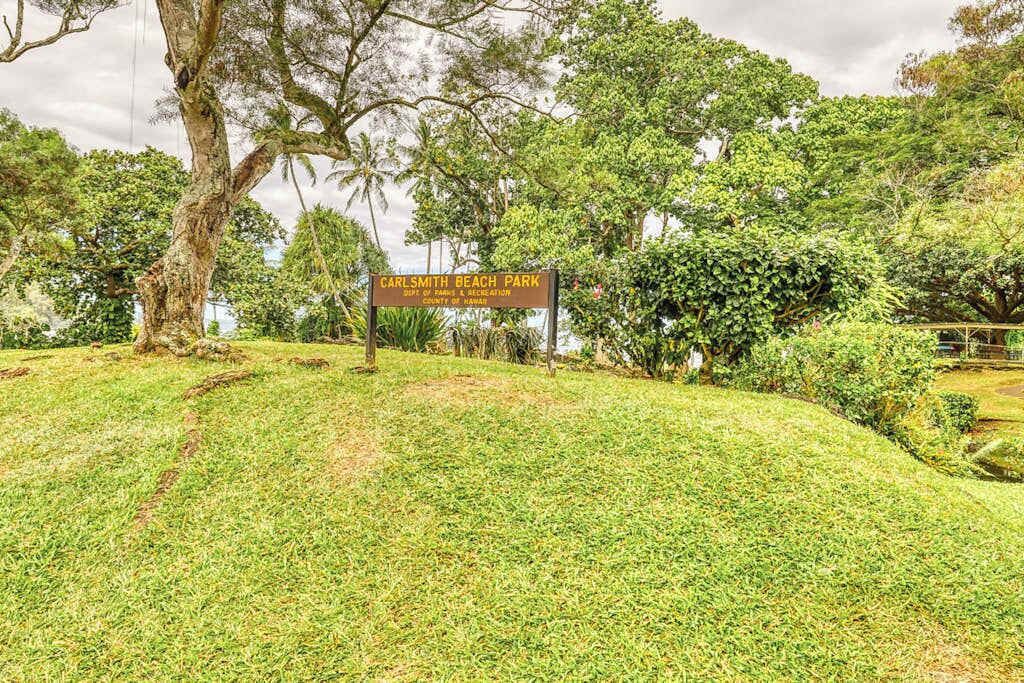 Photo of Outdoor in Hilo