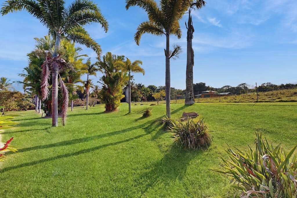 Photo of Outdoor in Pepeekeo