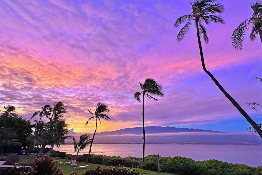 Photo of Others in Maalaea