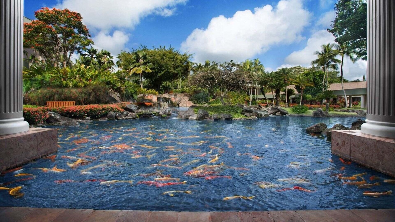 Photo of Outdoor in Lihue