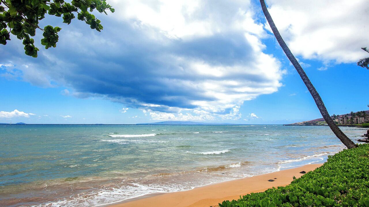 Photo of Others in Maalaea
