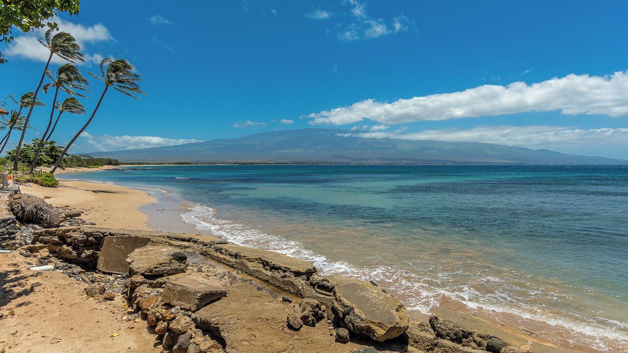 Photo of Others in Maalaea