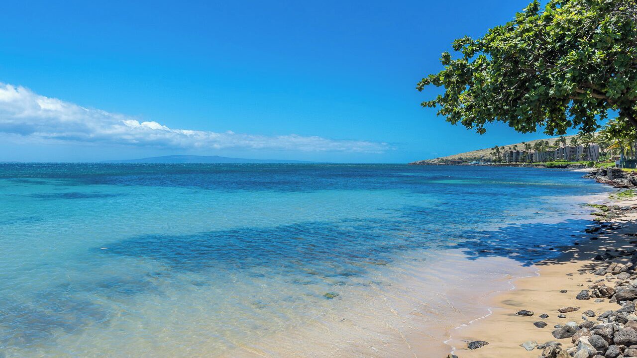 Photo of Others in Maalaea