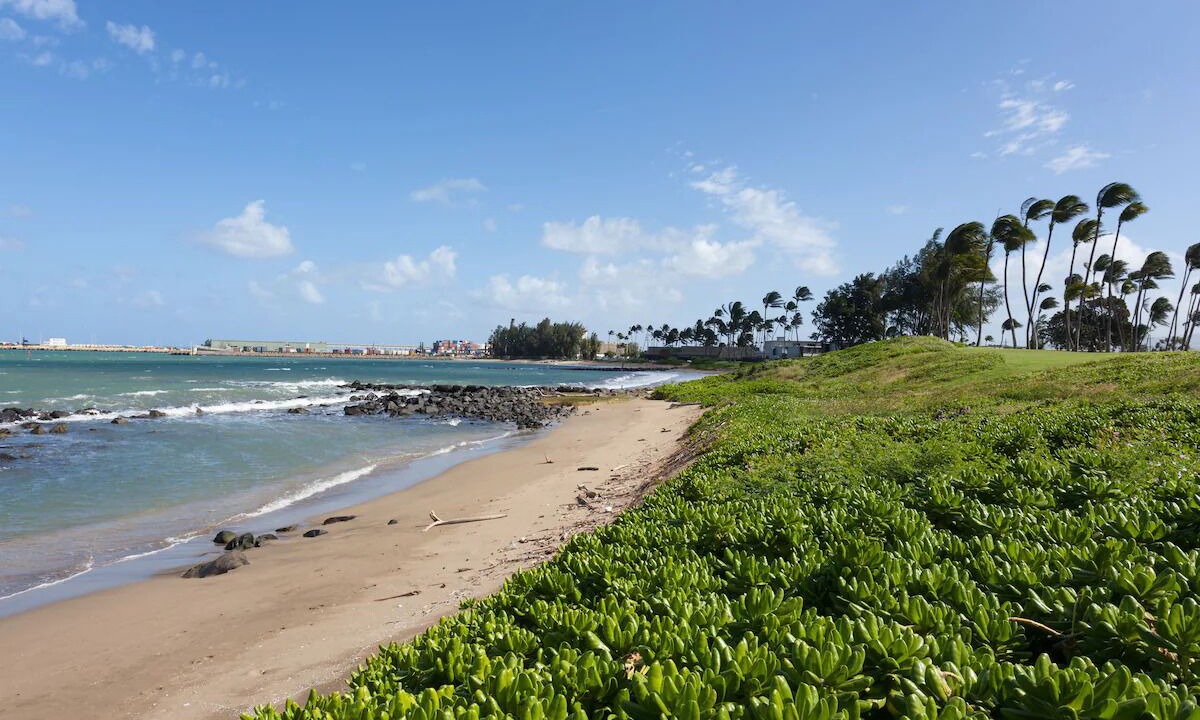 Photo of Others in Kahului