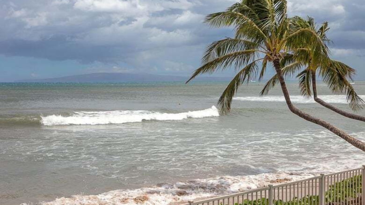 Photo of Others in Maalaea