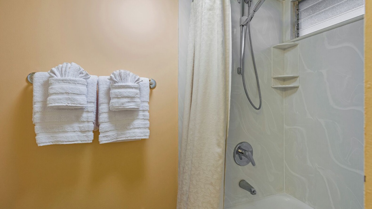 Photo of Bathroom in Napili