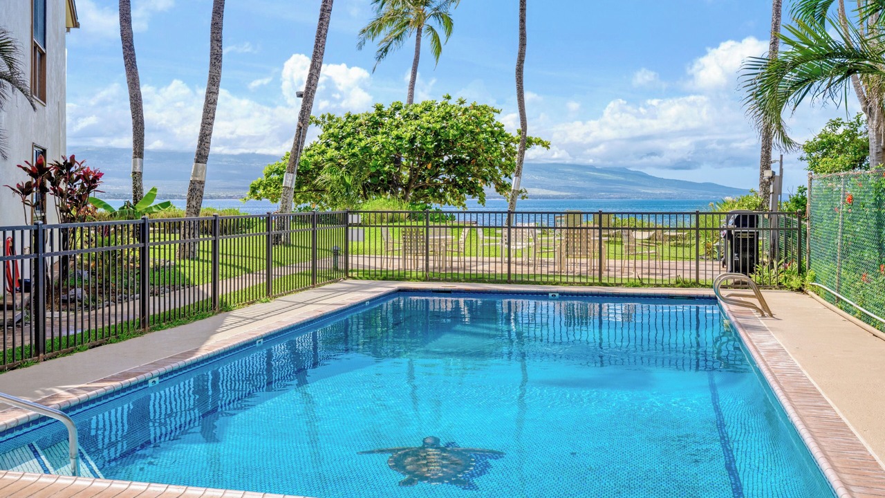 Photo of Outdoor in Maalaea