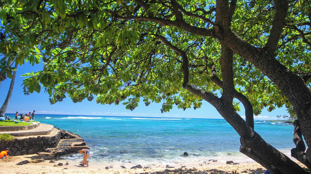 Photo of Others in Poipu