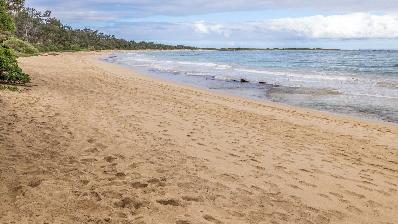 Photo of Others in Kahuku
