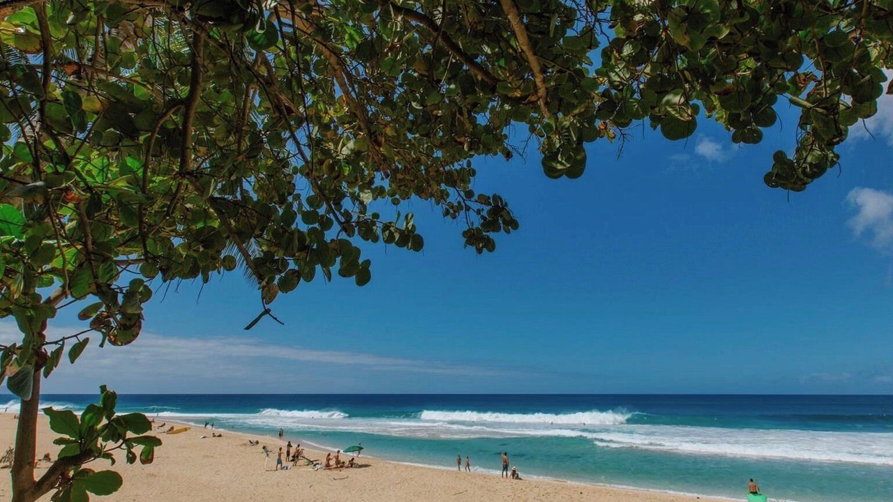 Photo of Others in Haleiwa