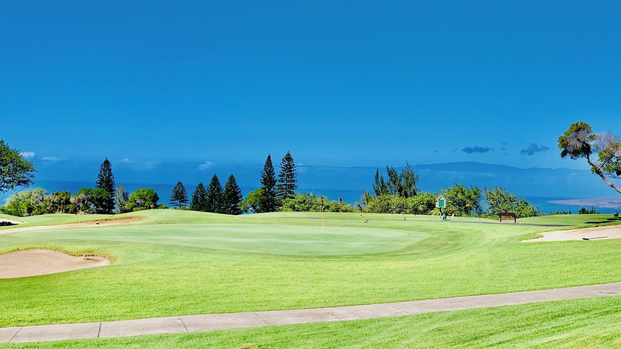 Photo of Others in Waikoloa