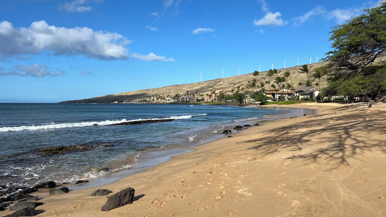 Photo of Others in Maalaea