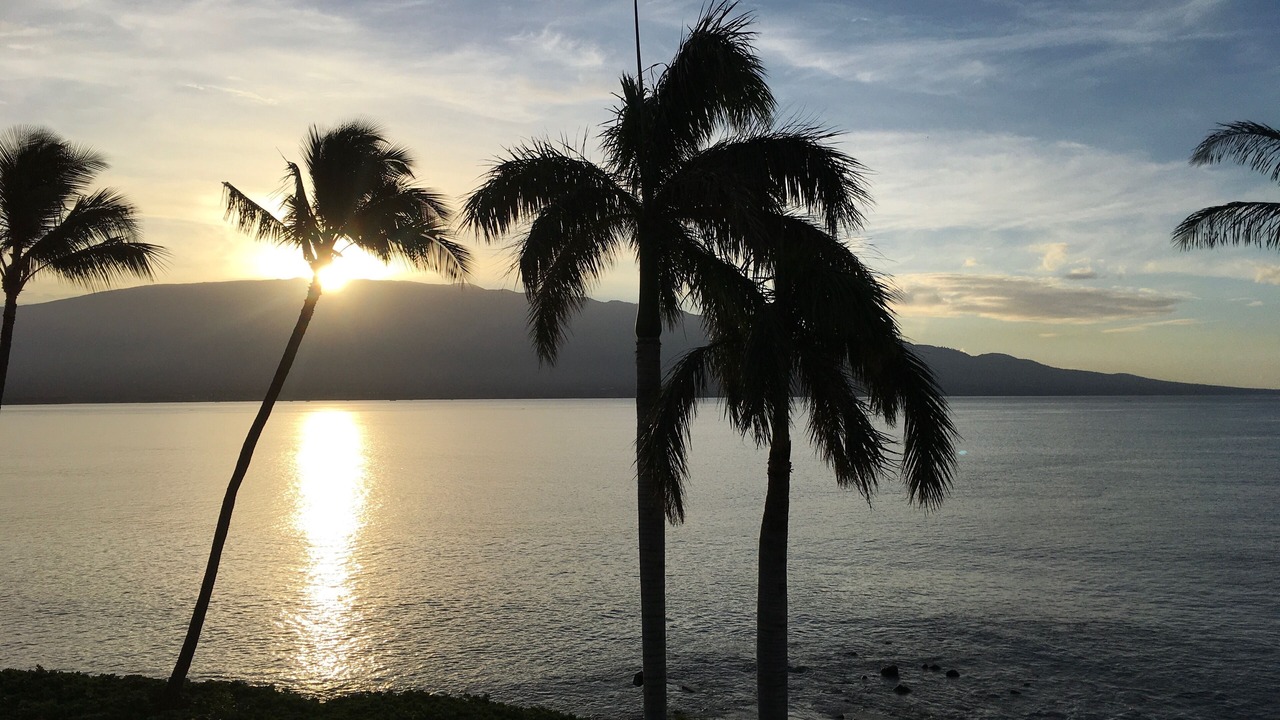 Photo of Others in Maalaea