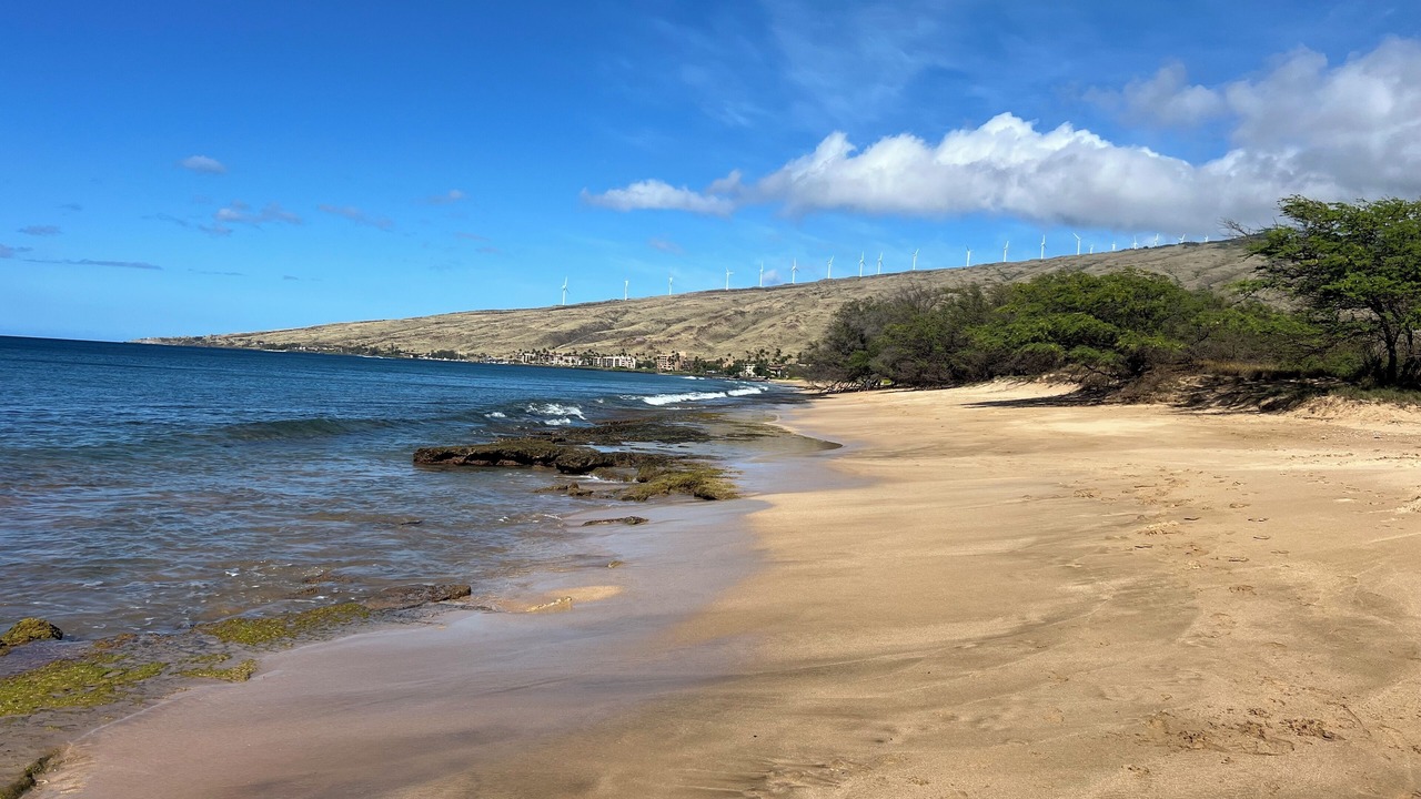 Photo of Others in Maalaea