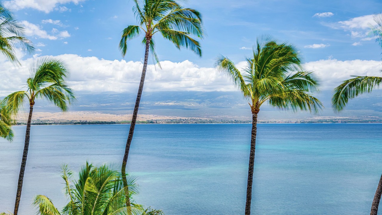 Photo of Others in Maalaea