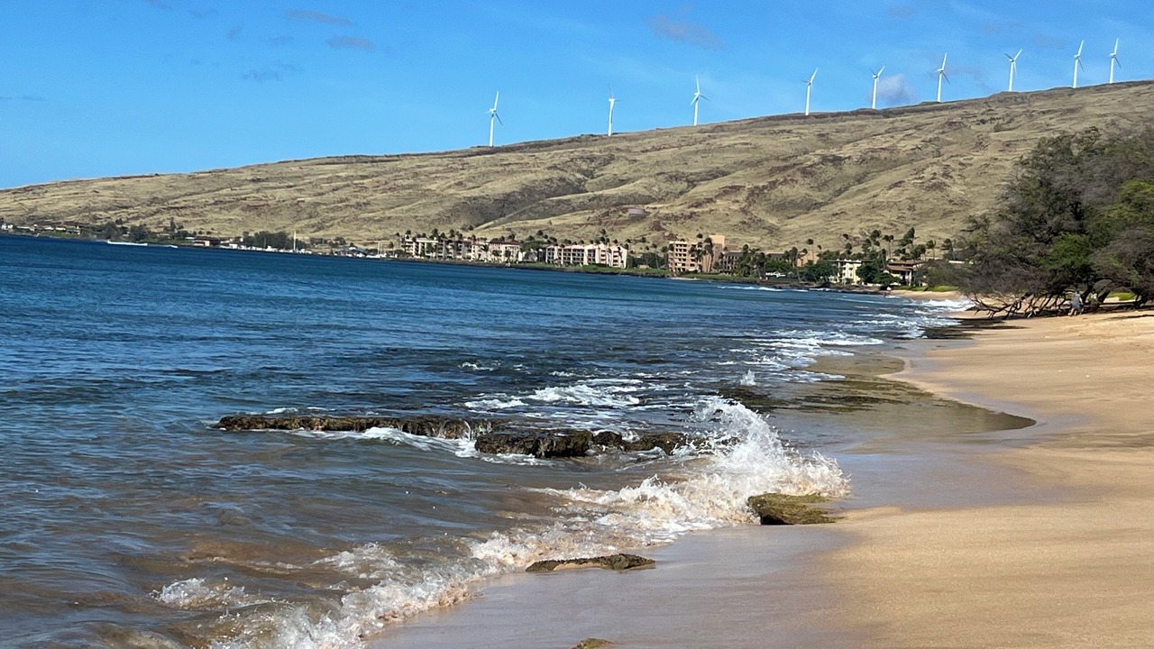 Photo of Others in Maalaea
