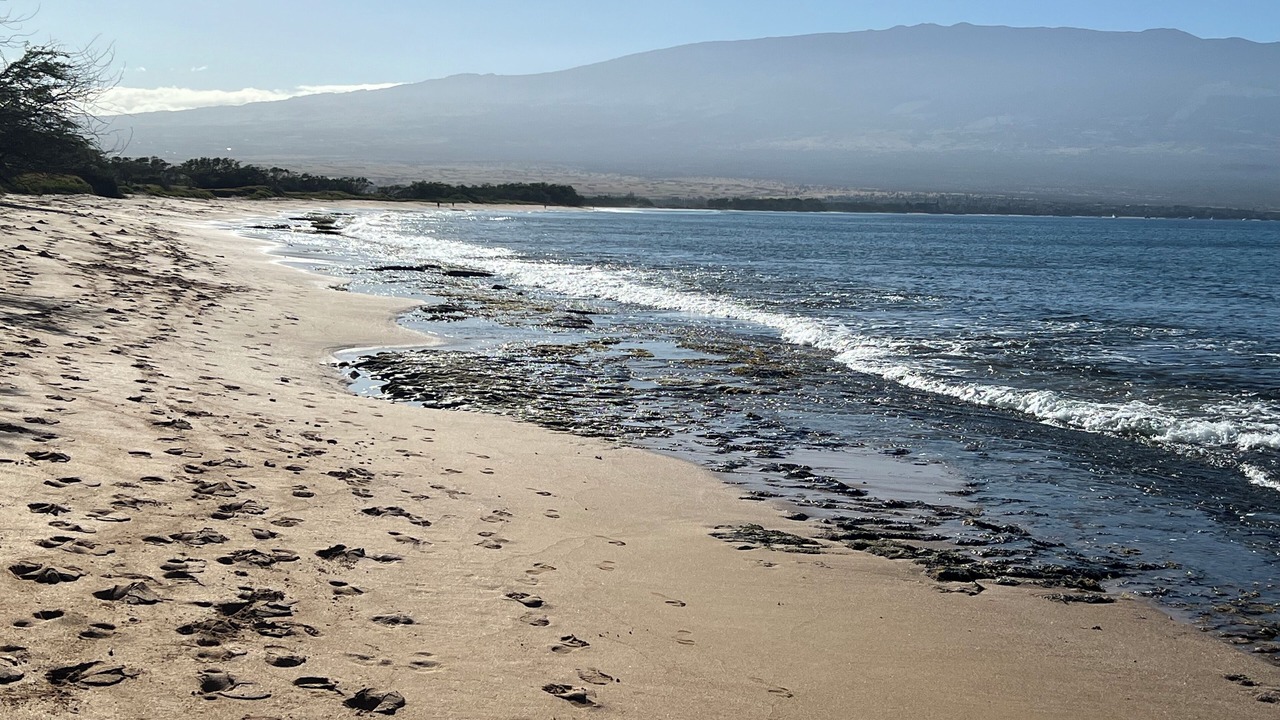 Photo of Others in Maalaea