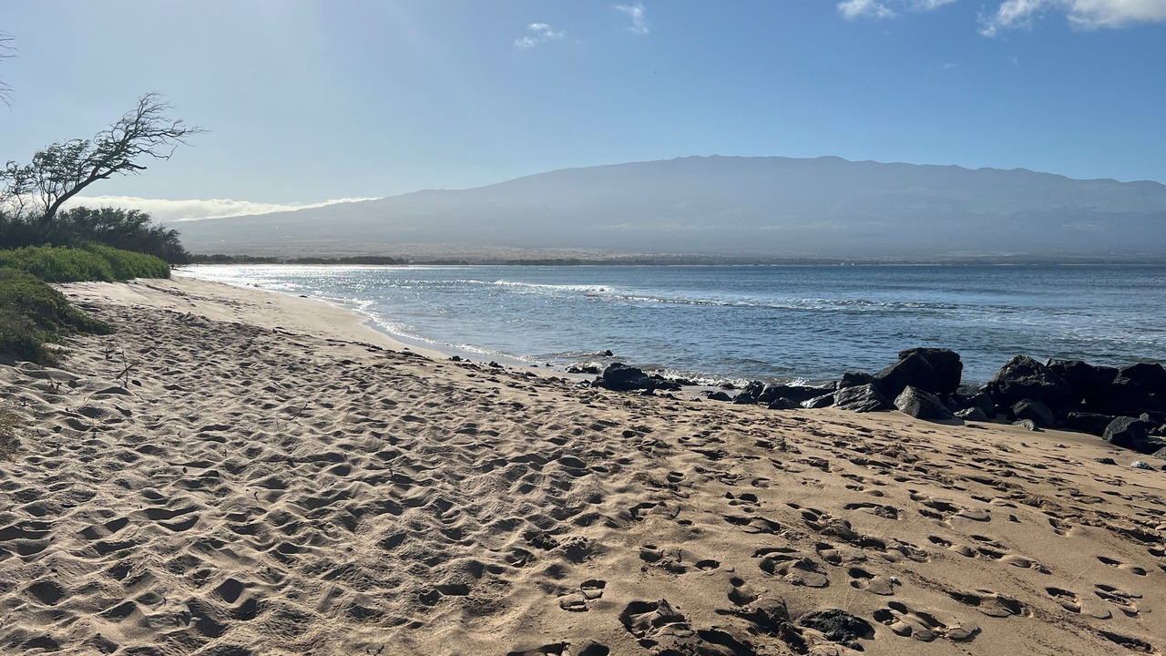 Photo of Others in Maalaea