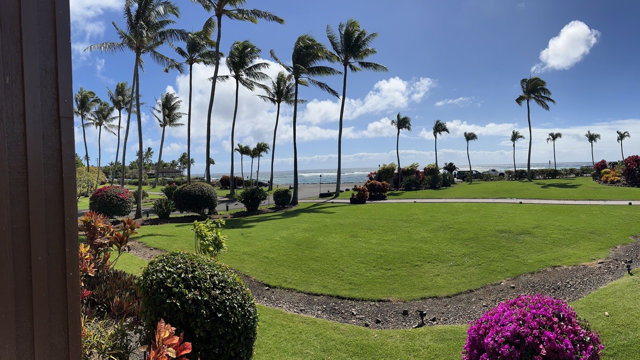 Photo of Outdoor in Koloa