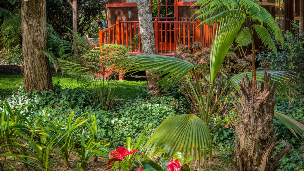 Photo of Outdoor in Volcano