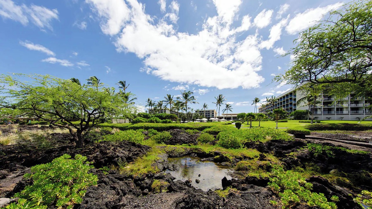 Photo of Outdoor in Waikoloa