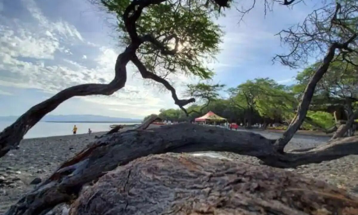 Photo of Others in Waikoloa