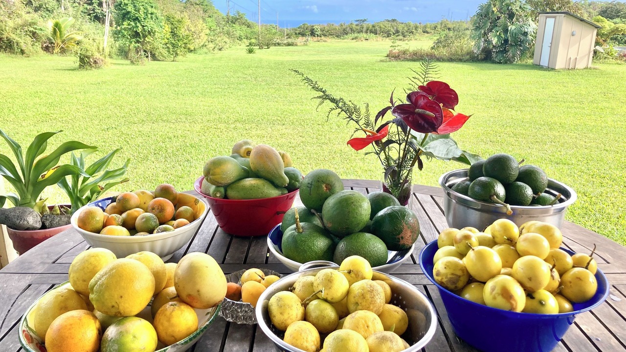Photo of Others in Pahoa