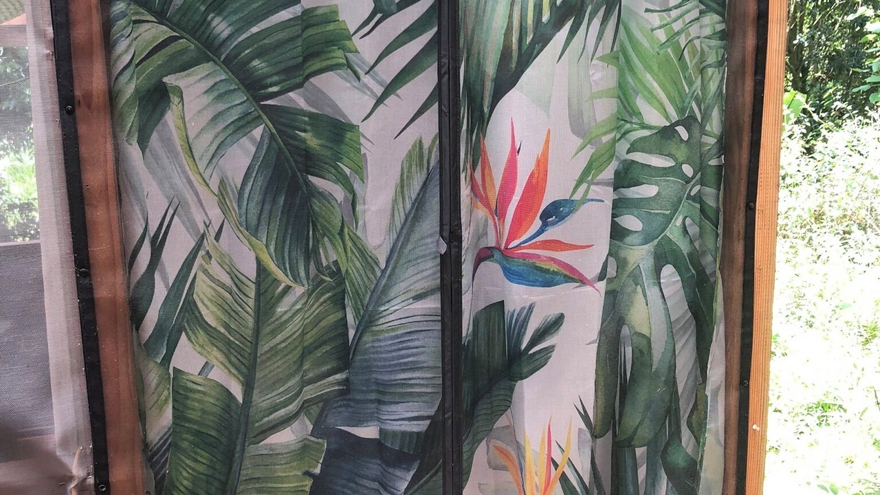 Photo of Outdoor in Kapoho