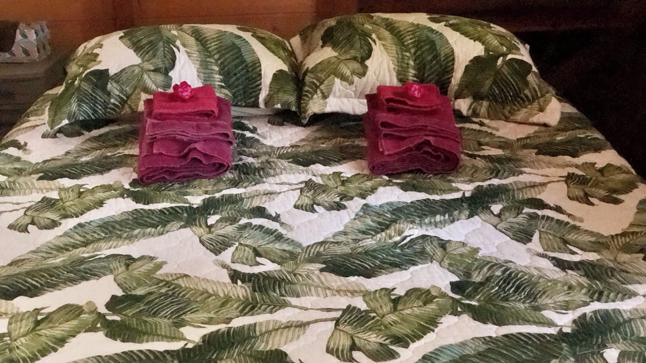 Photo of Bedroom in Kapoho