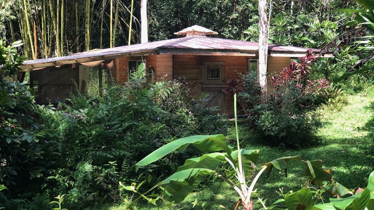 Photo of Outdoor in Kapoho