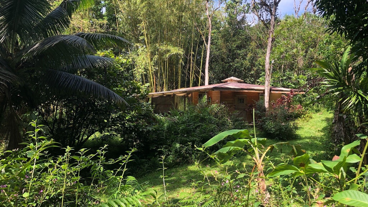 Photo of Outdoor in Kapoho