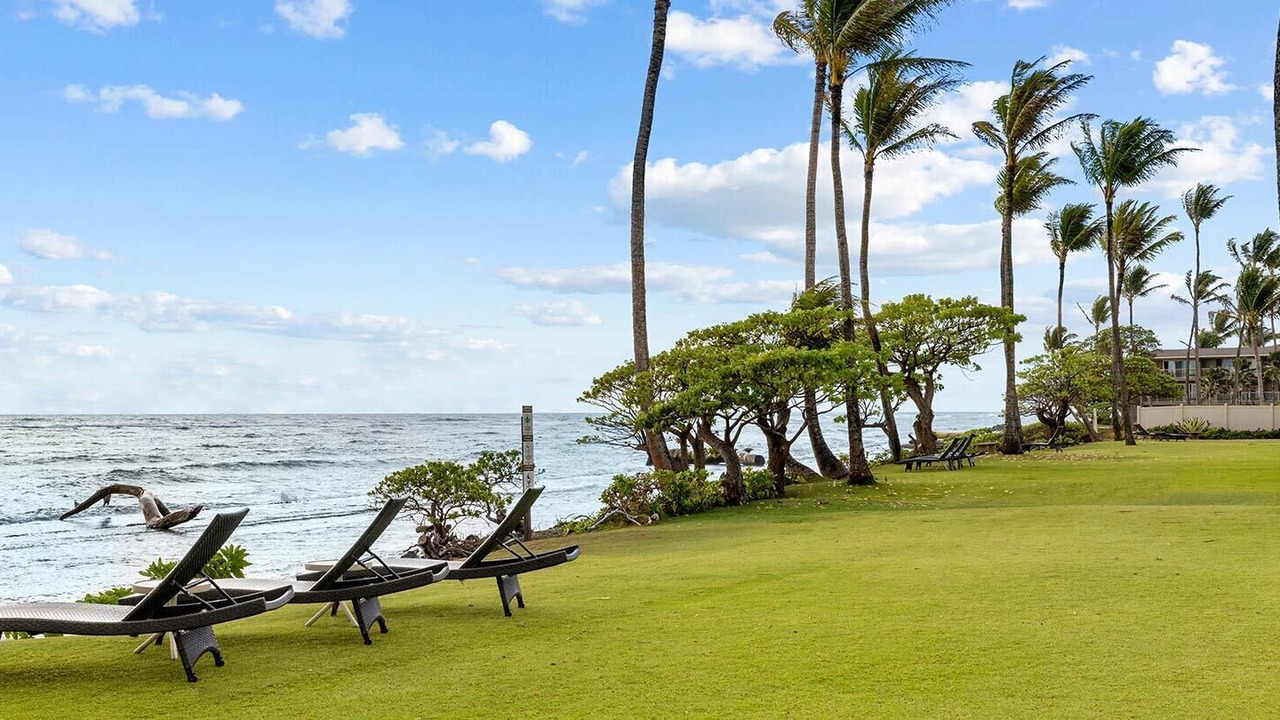 Photo of Outdoor in Wailua